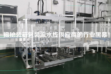 揭秘裝箱包裝流水線供應(yīng)商的行業(yè)黑幕！