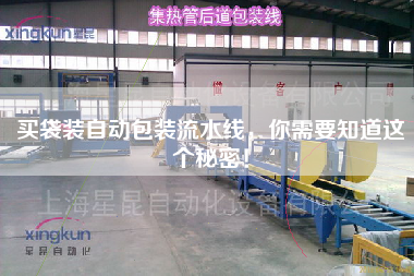 買袋裝自動包裝流水線，你需要知道這個秘密！