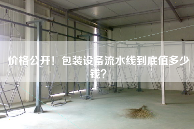 價格公開！包裝設(shè)備流水線到底值多少錢？