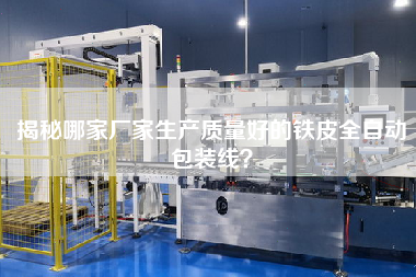 揭秘哪家廠家生產質量好的鐵皮全自動包裝線