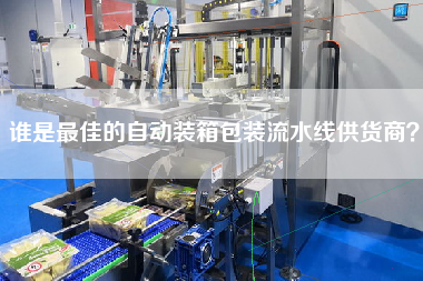 誰是最佳的自動裝箱包裝流水線供貨商？