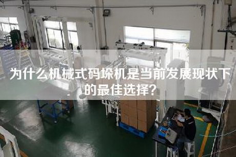 為什么機械式碼垛機是當前發展現狀下的最佳選擇？