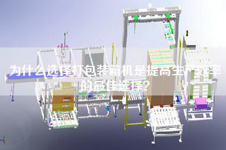 為什么選擇打包裝箱機(jī)是提高生產(chǎn)效率的最佳選擇？