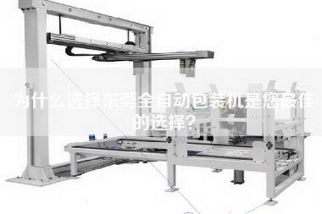 為什么選擇東莞全自動(dòng)包裝機(jī)是您最佳的選擇? 為什么選擇東莞全自動(dòng)包裝機(jī)是您最佳的選擇?