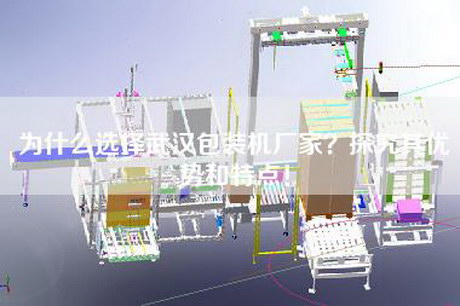 為什么選擇武漢包裝機廠家？探究其優(yōu)勢和特點！