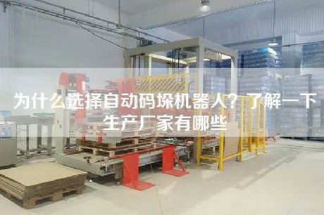 為什么選擇自動碼垛機器人？了解一下生產廠家有哪些