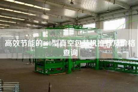 高效節能的300型真空包裝機推薦及價格查詢 高效節能的300型真空包裝機推薦及價格查詢