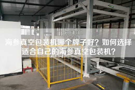 海參真空包裝機哪個牌子好？如何選擇適合自己的海參真空包裝機？