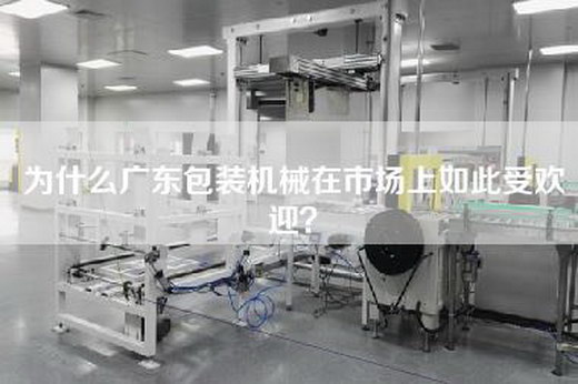 為什么廣東包裝機械在市場上如此受歡迎? 為什么廣東包裝機械在市場上如此受歡迎?