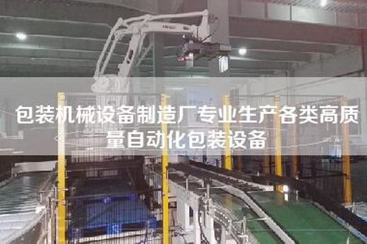 包裝機械設備制造廠專業生產各類高質量自動化包裝設備