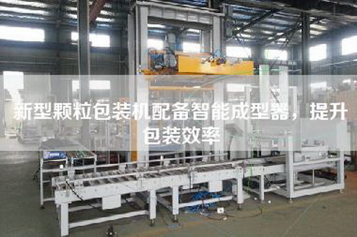 新型顆粒包裝機配備智能成型器,提升包裝效率 新型顆粒包裝機配備智能成型器,提升包裝效率