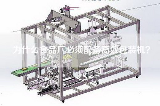 為什么食品廠必須配備高效包裝機? 為什么食品廠必須配備高效包裝機?