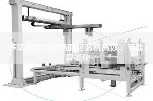 多功能全自動(dòng)湯圓包裝機(jī)高效、節(jié)能、智能化 多功能全自動(dòng)湯圓包裝機(jī)高效、節(jié)能、智能化