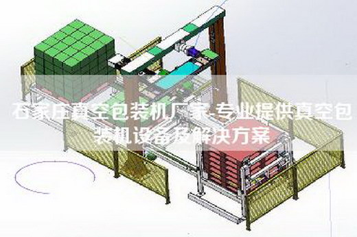 石家莊真空包裝機廠家-專業(yè)提供真空包裝機設(shè)備及解決方案