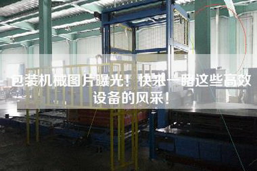 包裝機械圖片曝光！快來一睹這些高效設備的風采！