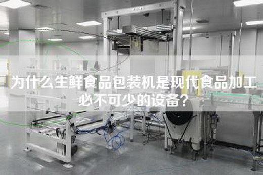 為什么生鮮食品包裝機是現代食品加工必不可少的設備? 為什么生鮮食品包裝機是現代食品加工必不可少的設備?