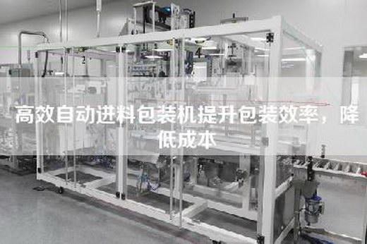 高效自動進料包裝機提升包裝效率，降低成本