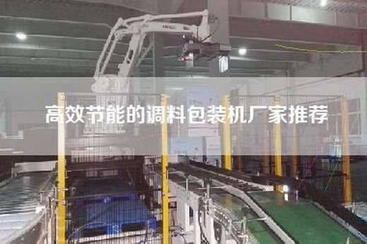 高效節能的調料包裝機廠家推薦