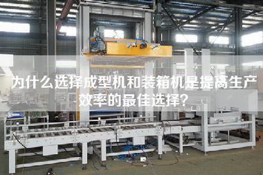 為什么選擇成型機和裝箱機是提高生產效率的最佳選擇？