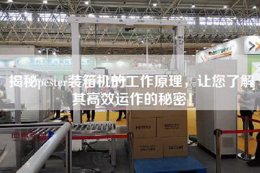 揭秘pester裝箱機的工作原理,讓您了解其高效運作的秘密! 揭秘pester裝箱機的工作原理,讓您了解其高效運作的秘密!