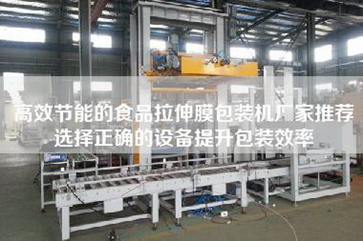 高效節能的食品拉伸膜包裝機廠家推薦選擇正確的設備提升包裝效率