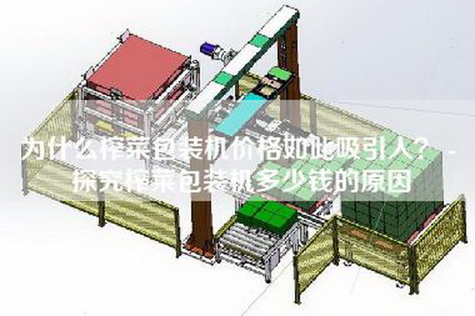 為什么榨菜包裝機價格如此吸引人？ - 探究榨菜包裝機多少錢的原因