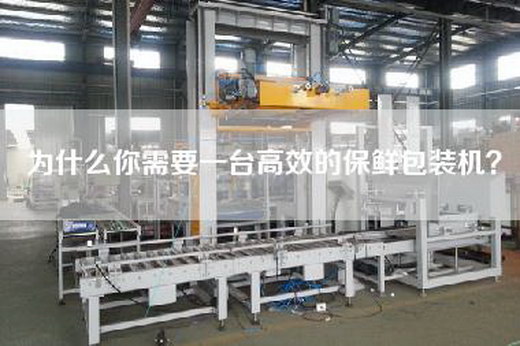 為什么你需要一臺高效的保鮮包裝機？