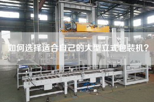 如何選擇適合自己的大型立式包裝機？