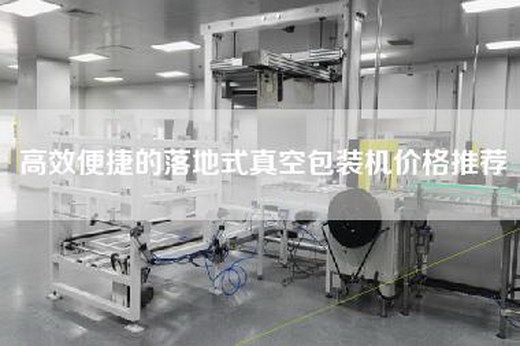 高效便捷的落地式真空包裝機價格推薦