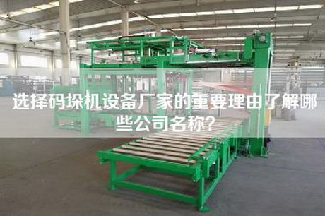 選擇碼垛機(jī)設(shè)備廠(chǎng)家的重要理由了解哪些公司名稱(chēng)？