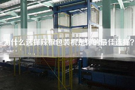為什么選擇辣椒包裝機是你的最佳選擇?