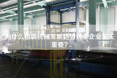 為什么包裝機械發展趨勢對于企業至關重要?