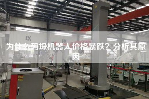 為什么碼垛機器人價格暴跌?分析其原因