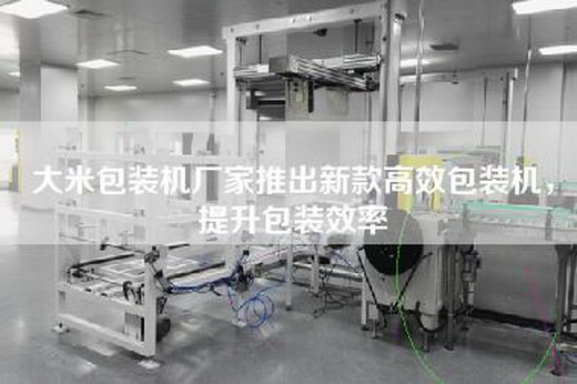 大米包裝機廠家推出新款高效包裝機,提升包裝效率 大米包裝機廠家推出新款高效包裝機,提升包裝效率