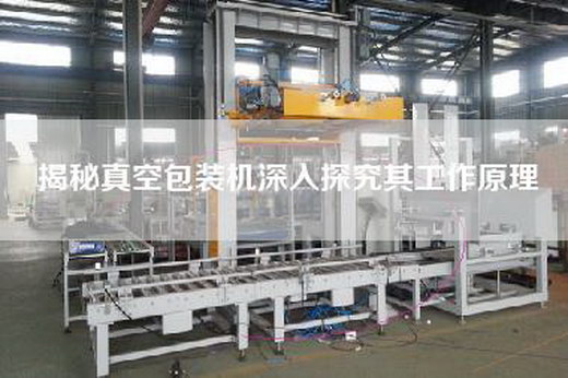 揭秘真空包裝機深入探究其工作原理 揭秘真空包裝機深入探究其工作原理