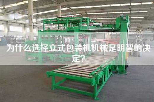為什么選擇立式包裝機機械是明智的決定? 為什么選擇立式包裝機機械是明智的決定?