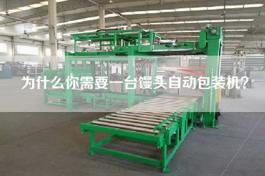 為什么你需要一臺饅頭自動包裝機？