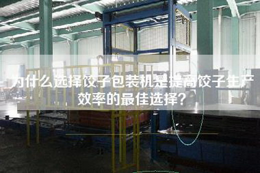 為什么選擇餃子包裝機是提高餃子生產(chǎn)效率的最佳選擇？