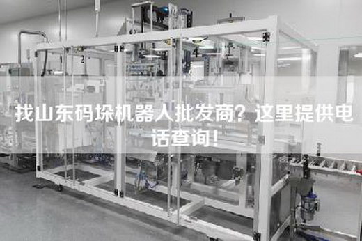 找山東碼垛機器人批發(fā)商?這里提供電話查詢!