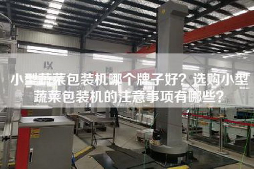 小型蔬菜包裝機哪個牌子好？選購小型蔬菜包裝機的注意事項有哪些？