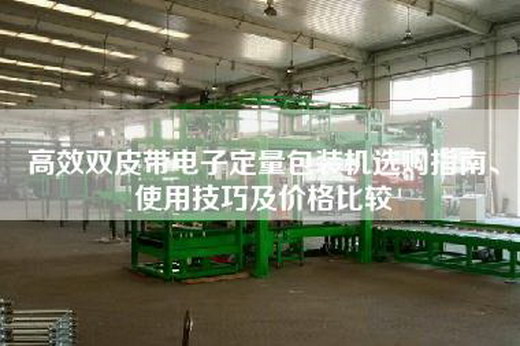 高效雙皮帶電子定量包裝機選購指南、使用技巧及價格比較 高效雙皮帶電子定量包裝機選購指南、使用技巧及價格比較