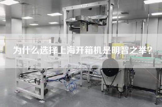 為什么選擇上海開箱機是明智之舉? 為什么選擇上海開箱機是明智之舉?