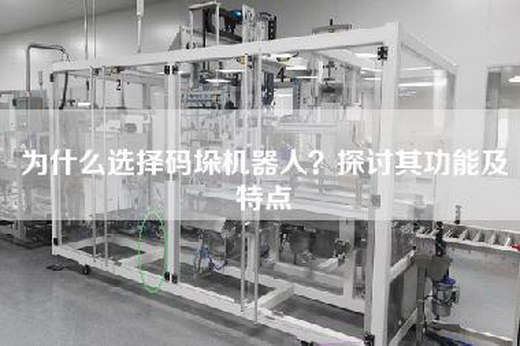 為什么選擇碼垛機器人？探討其功能及特點