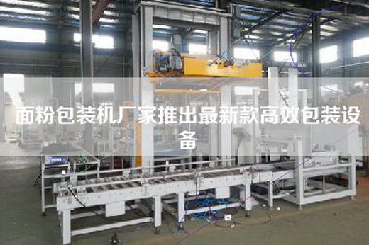面粉包裝機廠家推出最新款高效包裝設(shè)備