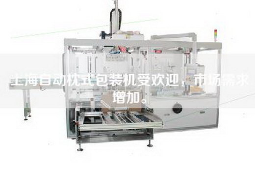 上海自動(dòng)枕式包裝機(jī)受歡迎，市場(chǎng)需求增加。