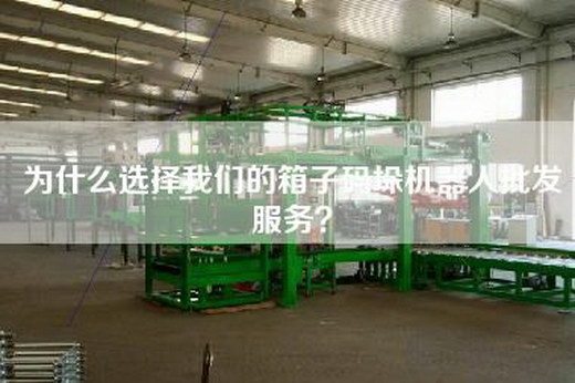 為什么選擇我們的箱子碼垛機器人批發服務？