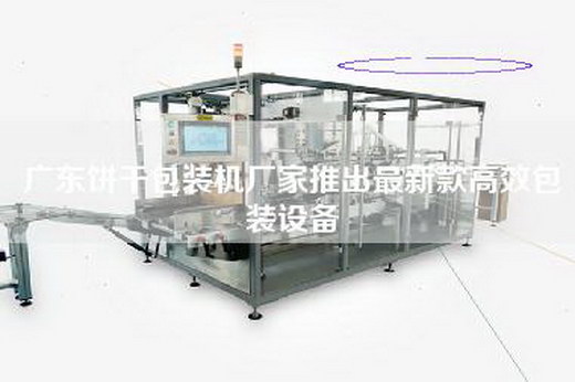 廣東餅干包裝機廠家推出最新款高效包裝設備