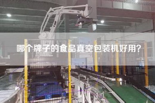 哪個(gè)牌子的食品真空包裝機(jī)好用? 哪個(gè)牌子的食品真空包裝機(jī)好用?