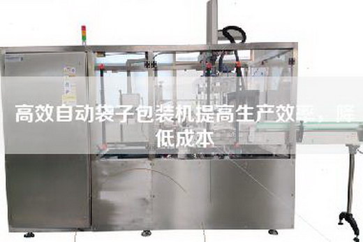 高效自動(dòng)袋子包裝機(jī)提高生產(chǎn)效率，降低成本