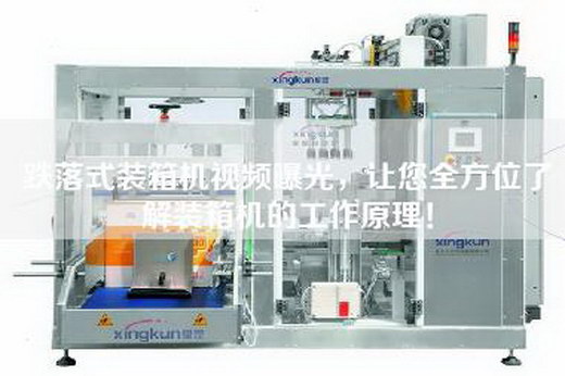 跌落式裝箱機(jī)視頻曝光,讓您全方位了解裝箱機(jī)的工作原理! 跌落式裝箱機(jī)視頻曝光,讓您全方位了解裝箱機(jī)的工作原理!